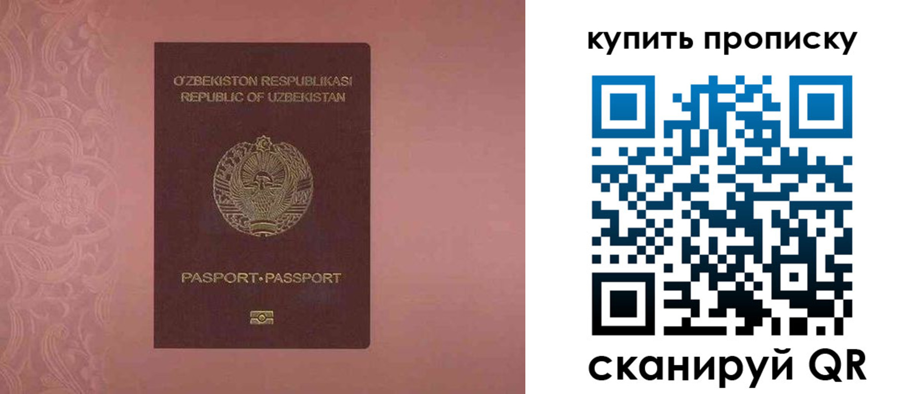 прописка иностранных граждан в Бородино
